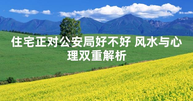 住宅正对公安局好不好 风水与心理双重解析